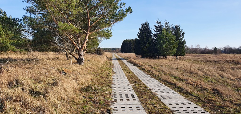 Działka na sprzedaż Białuń 1 137 m2 | Arka Nieruchomości