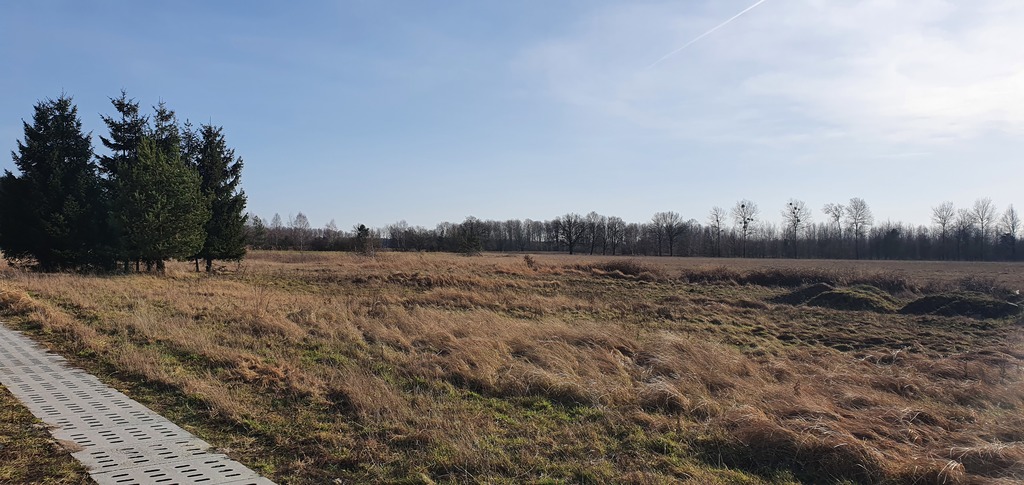 Działka na sprzedaż Białuń 1 137 m2 | Arka Nieruchomości
