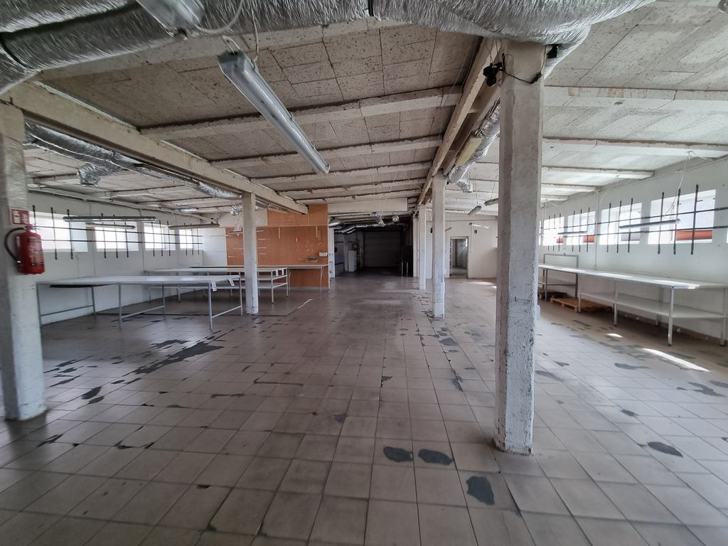 Obiekt na wynajem Przecław 520 m2 | Arka Nieruchomości