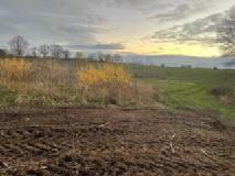 Działka na sprzedaż Stara Dąbrowa 1 492 m2 | Arka Nieruchomości