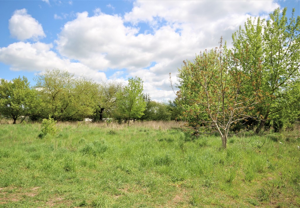 Dom na sprzedaż Szczecin, Pilchowo 155 m2 | Arka Nieruchomości