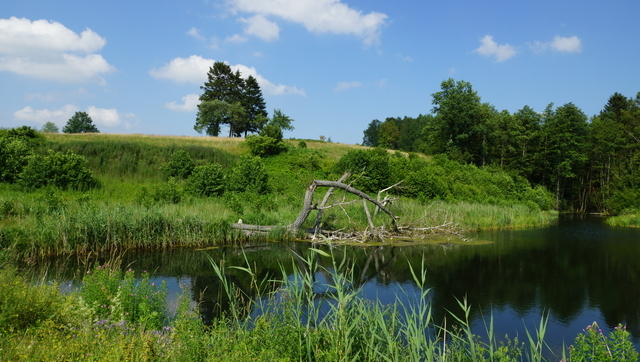 Działka na sprzedaż Bobolice 23 103 m2 | Arka Nieruchomości