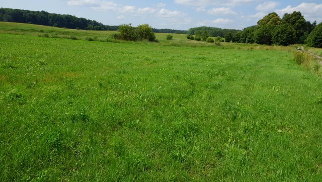 Działka na sprzedaż Bobolice 10 000 m2 | Arka Nieruchomości