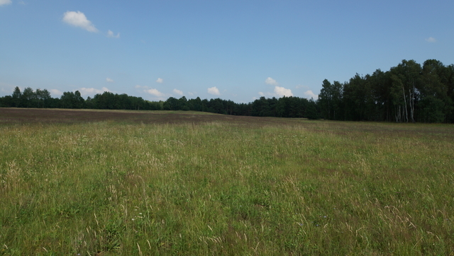 Działka na sprzedaż Bobolice 10 000 m2 | Arka Nieruchomości