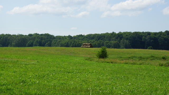 Działka na sprzedaż Bobolice 10 770 m2 | Arka Nieruchomości