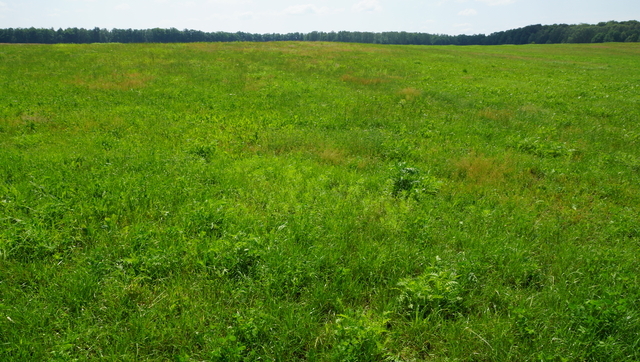 Działka na sprzedaż Bobolice 10 770 m2 | Arka Nieruchomości