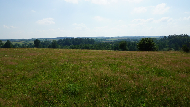 Działka na sprzedaż Bobolice 10 770 m2 | Arka Nieruchomości