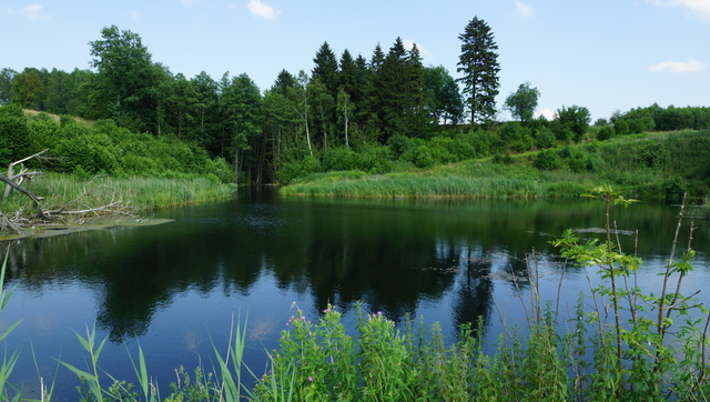 Działka na sprzedaż Bobolice 10 770 m2 | Arka Nieruchomości