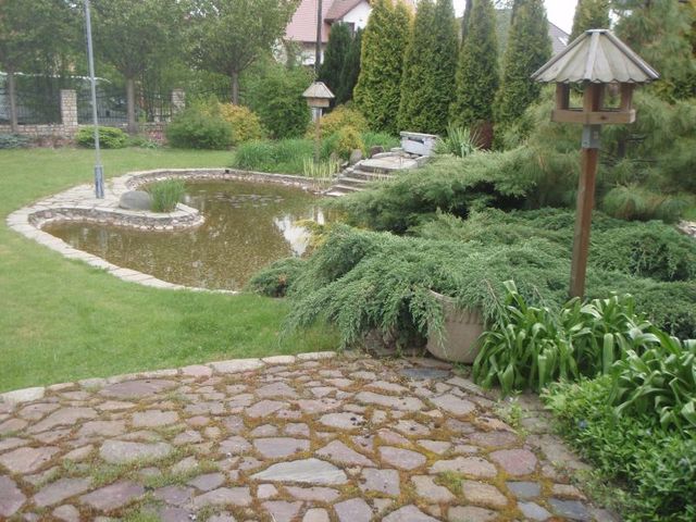Dom na sprzedaż Mierzyn 470 m2 | Arka Nieruchomości