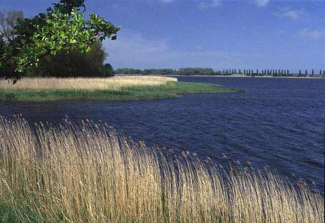 Działka na sprzedaż Kamień Pomorski 36 000 m2 | Arka Nieruchomości