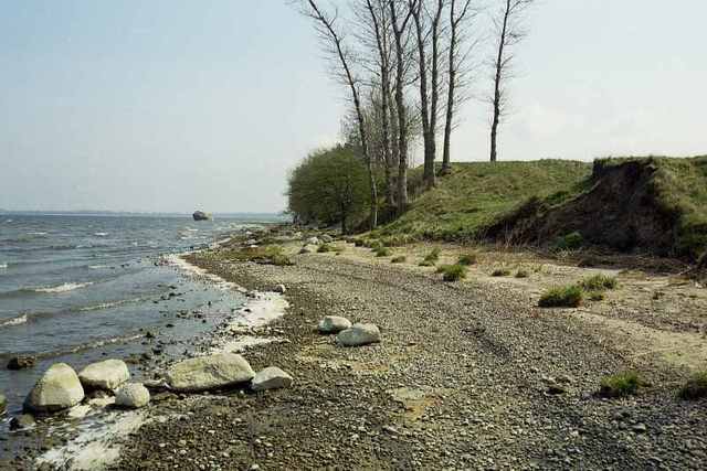 Działka na sprzedaż Kamień Pomorski 36 000 m2 | Arka Nieruchomości