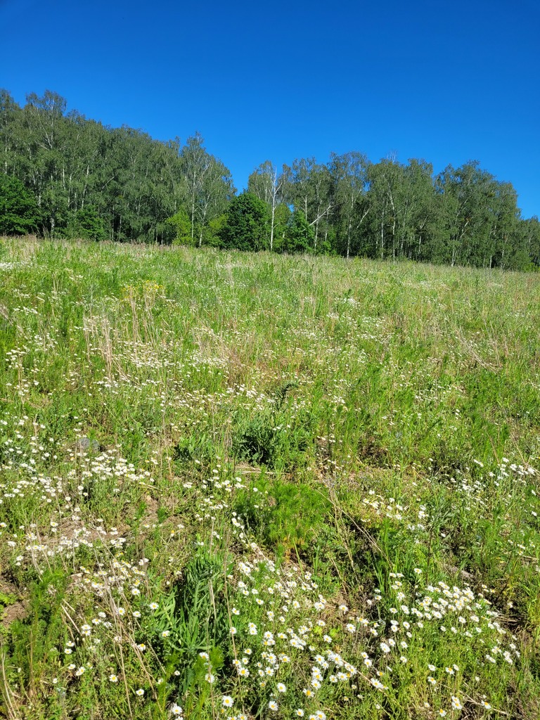 Działka na sprzedaż Recz 32 794 m2 | Arka Nieruchomości