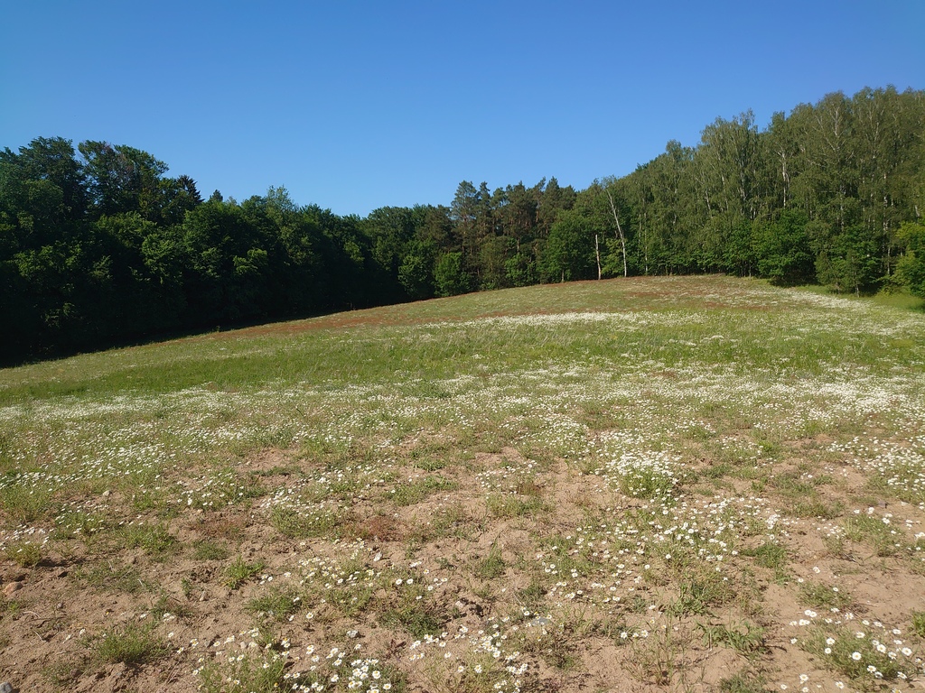 Działka na sprzedaż Recz 32 794 m2 | Arka Nieruchomości