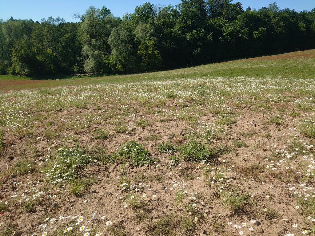 Działka na sprzedaż Recz 32 794 m2 | Arka Nieruchomości