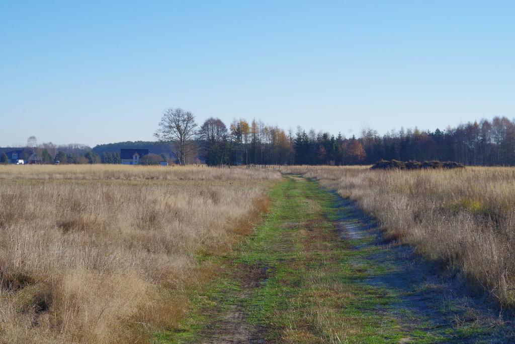 Działka na sprzedaż Niedźwiedź 1 245 m2 | Arka Nieruchomości