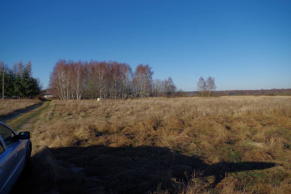 Działka na sprzedaż Niedźwiedź 1 245 m2 | Arka Nieruchomości
