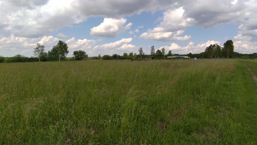 Działka na sprzedaż Niedźwiedź 1 245 m2 | Arka Nieruchomości