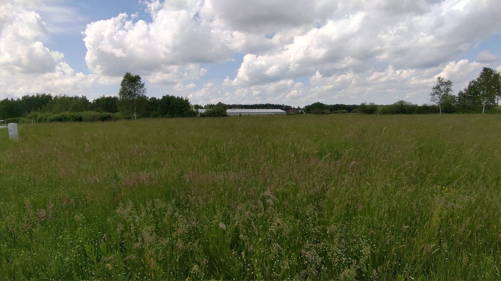 Działka na sprzedaż Niedźwiedź 1 245 m2 | Arka Nieruchomości