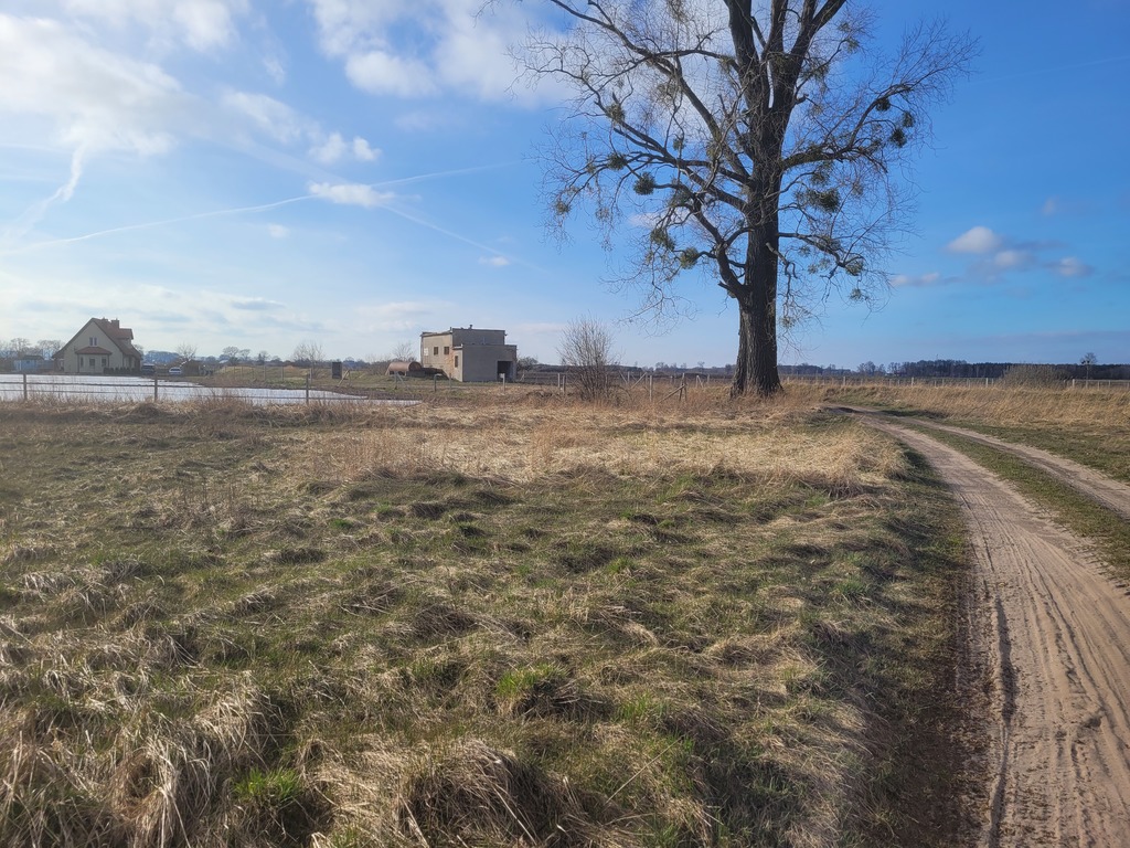 Działka na sprzedaż Lubczyna 3 001 m2 | Arka Nieruchomości