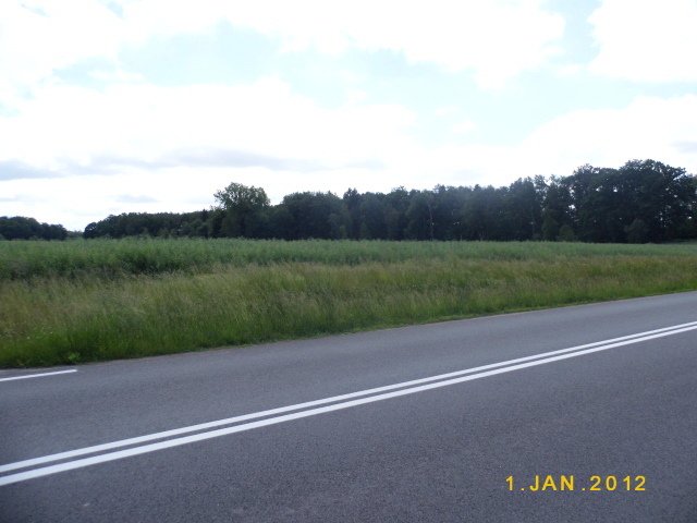 Działka na sprzedaż Olchowo 24 700 m2 | Arka Nieruchomości