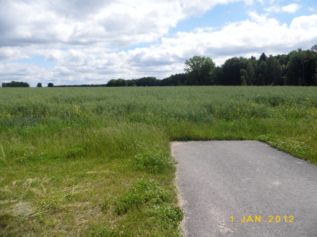 Działka na sprzedaż Olchowo 24 700 m2 | Arka Nieruchomości