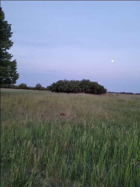 Działka na sprzedaż Lubczyna 3 001 m2 | Arka Nieruchomości