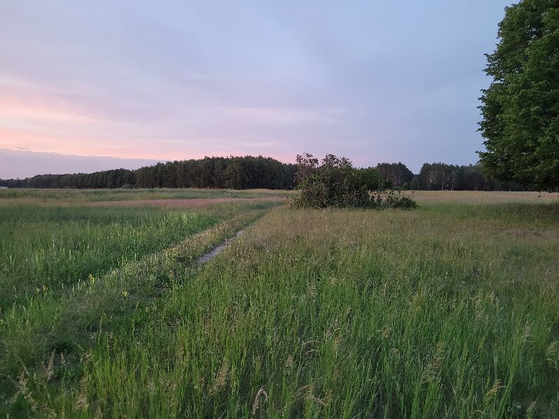 Działka na sprzedaż Lubczyna 3 293 m2 | Arka Nieruchomości