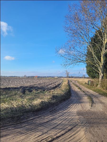 Działka na sprzedaż Lubczyna 3 293 m2 | Arka Nieruchomości