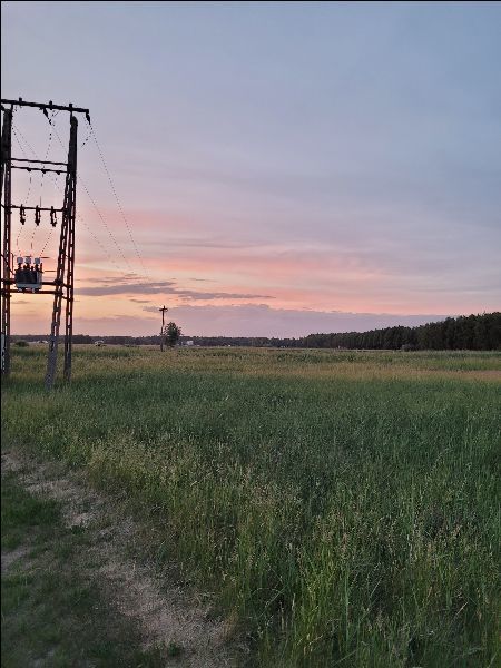 Działka na sprzedaż Lubczyna 3 293 m2 | Arka Nieruchomości