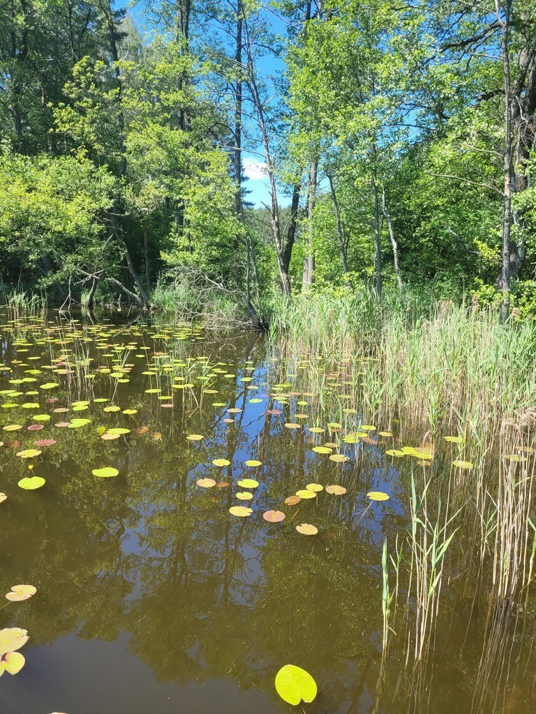 Dom na sprzedaż Łasko 170 m2 | Arka Nieruchomości