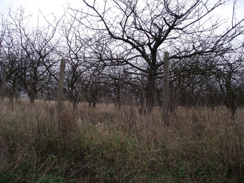 Działka na sprzedaż Stobno 10 000 m2 | Arka Nieruchomości