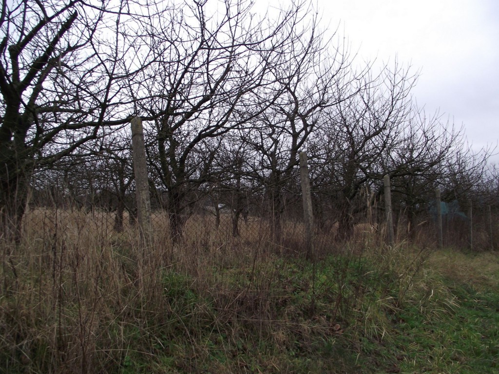Działka na sprzedaż Stobno 10 000 m2 | Arka Nieruchomości