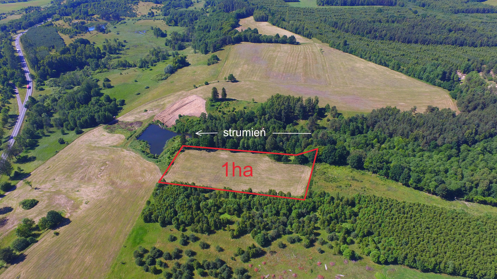 Działka na sprzedaż Bobolice 10 000 m2 | Arka Nieruchomości