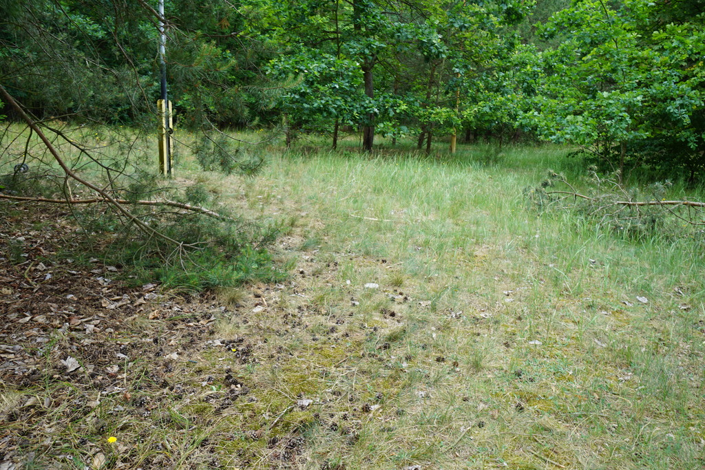 Działka na sprzedaż Bartoszewo 2 078 m2 | Arka Nieruchomości