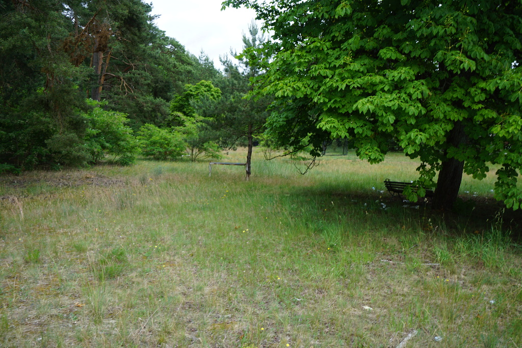 Działka na sprzedaż Bartoszewo 2 078 m2 | Arka Nieruchomości