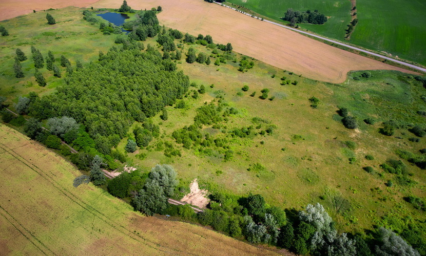 Działka na sprzedaż Lubieszewo 3 042 m2 | Arka Nieruchomości