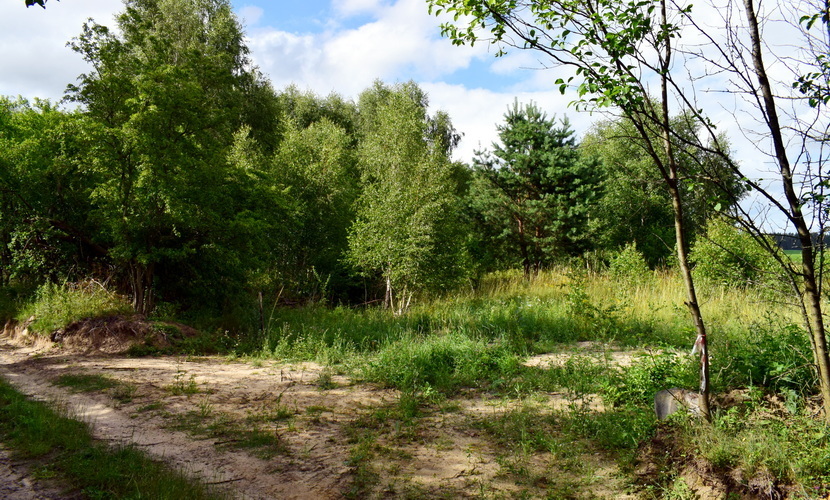 Działka na sprzedaż Lubieszewo 3 042 m2 | Arka Nieruchomości