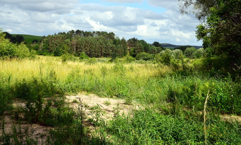 Działka na sprzedaż Lubieszewo 3 042 m2 | Arka Nieruchomości