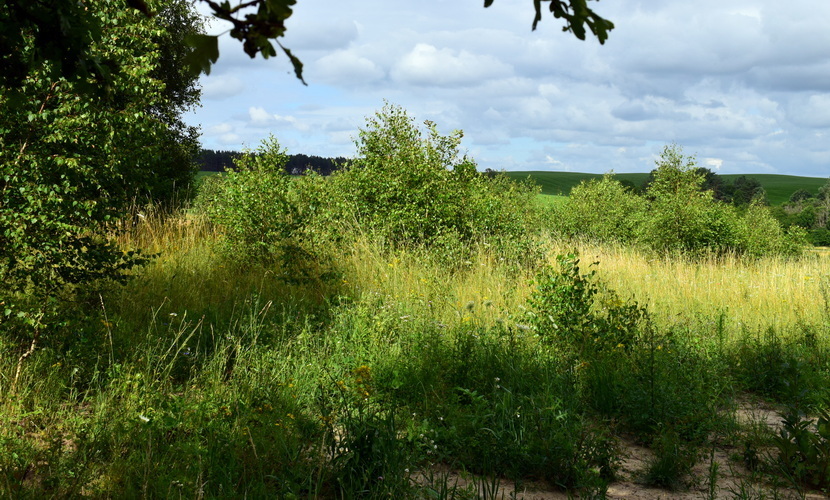 Działka na sprzedaż Lubieszewo 3 042 m2 | Arka Nieruchomości