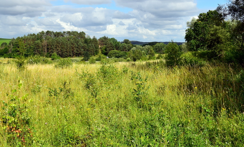 Działka na sprzedaż Lubieszewo 3 042 m2 | Arka Nieruchomości