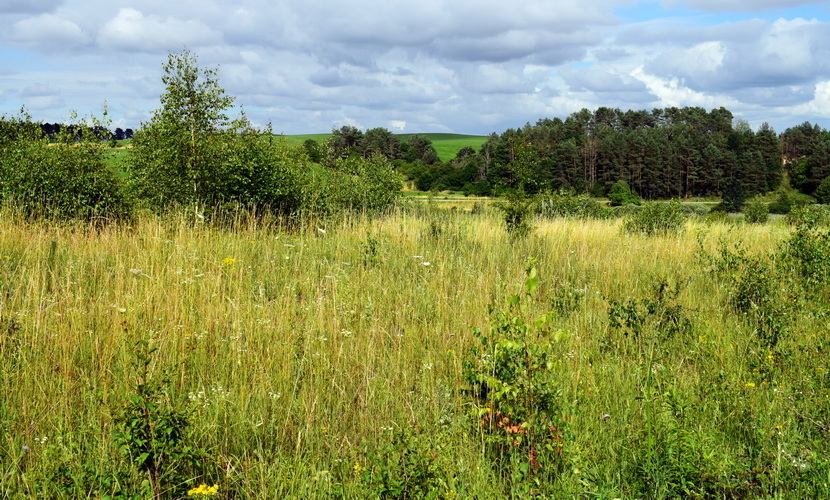 Działka na sprzedaż Lubieszewo 3 042 m2 | Arka Nieruchomości