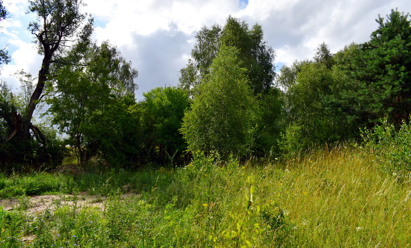 Działka na sprzedaż Lubieszewo 3 042 m2 | Arka Nieruchomości