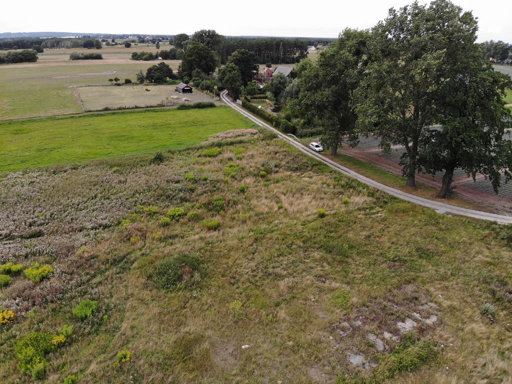 Działka na sprzedaż Borzysławiec 1 019 m2 | Arka Nieruchomości