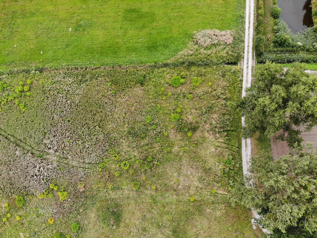 Działka na sprzedaż Borzysławiec 1 019 m2 | Arka Nieruchomości