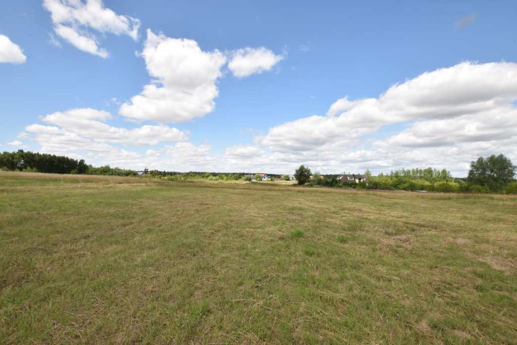 Działka na sprzedaż Dołuje 785 m2 | Arka Nieruchomości
