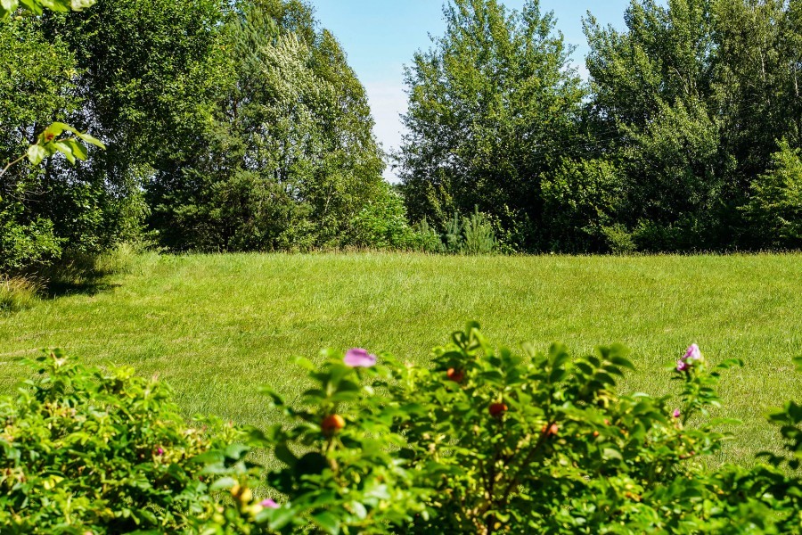 Działka na sprzedaż Małe Węgorzynko 16 476 m2 | Arka Nieruchomości