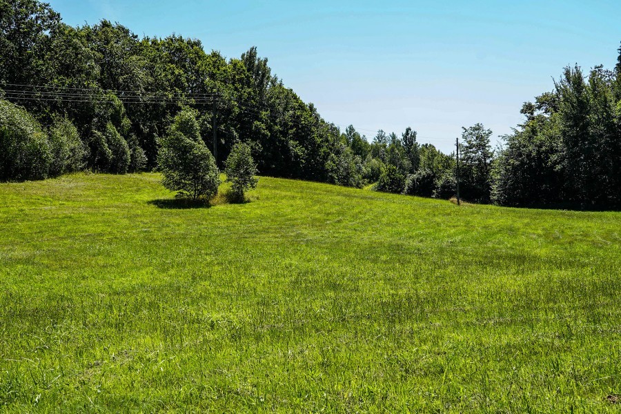Działka na sprzedaż Małe Węgorzynko 16 476 m2 | Arka Nieruchomości