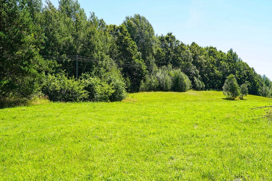 Działka na sprzedaż Małe Węgorzynko 16 476 m2 | Arka Nieruchomości