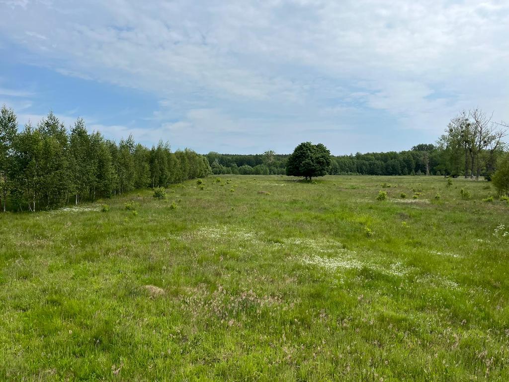 Działka na sprzedaż Żarowo 22 023 m2 | Arka Nieruchomości