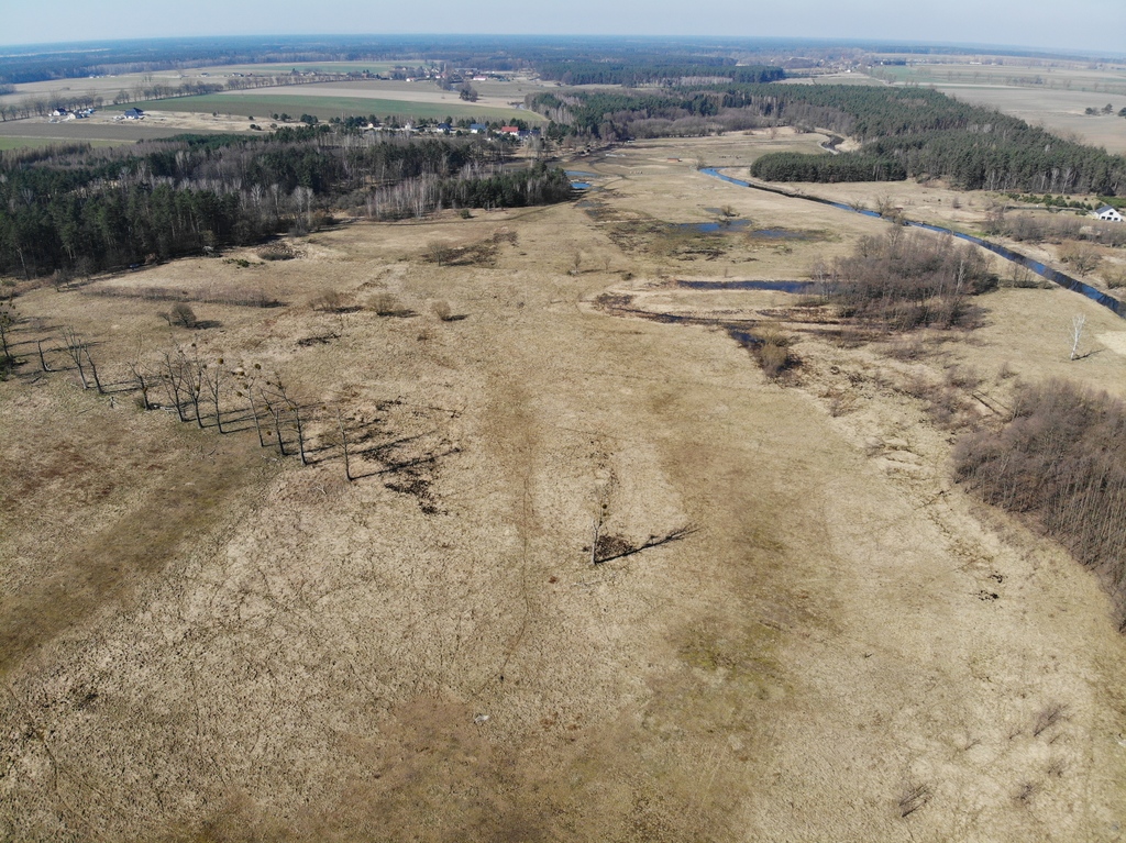 Działka na sprzedaż Żarowo 22 023 m2 | Arka Nieruchomości